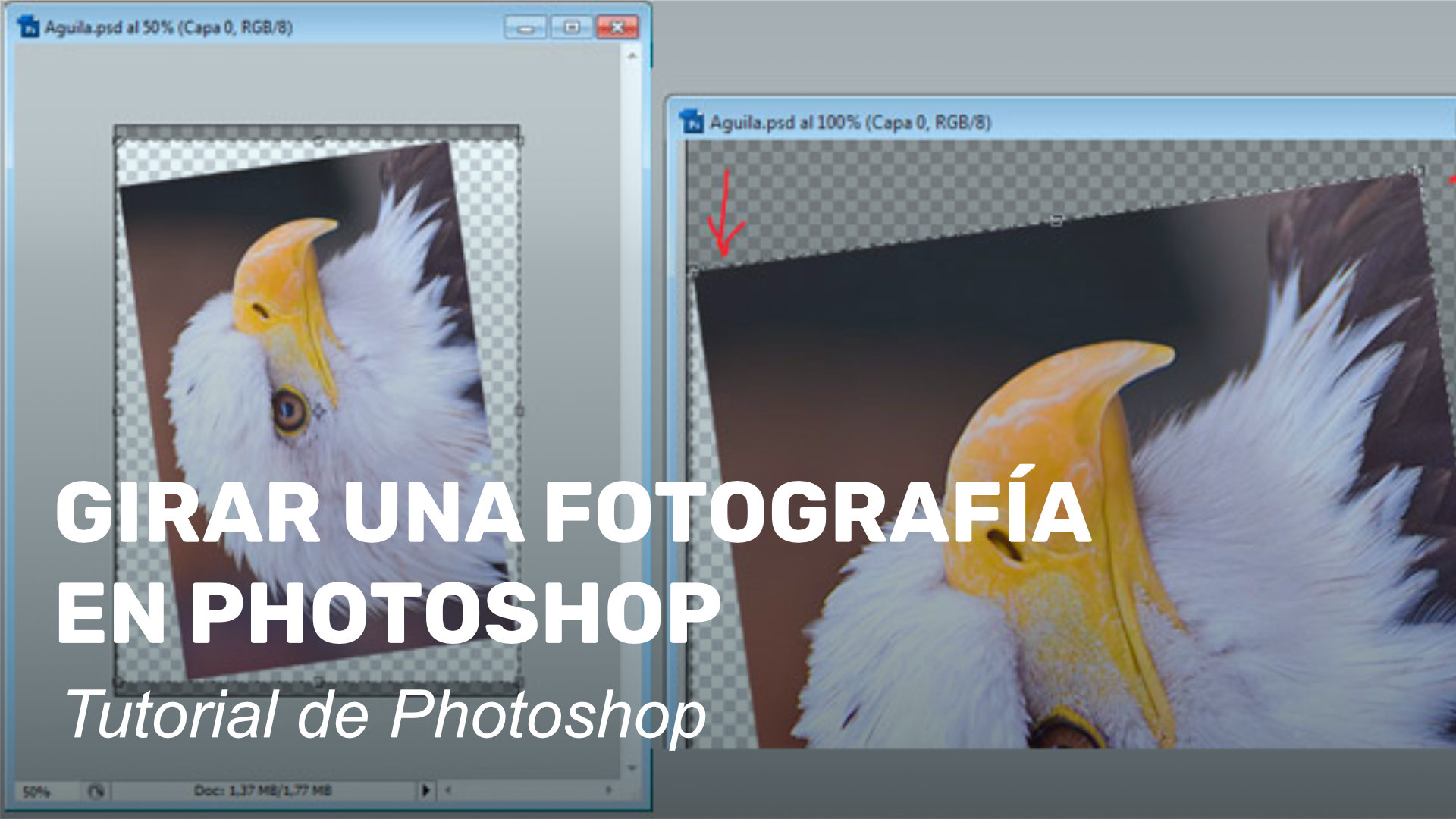 Girar una fotografía