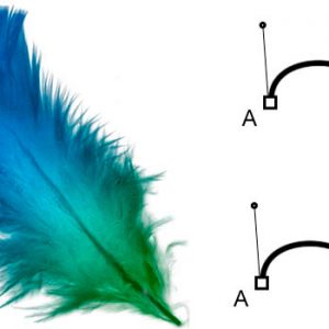 La herramienta Pluma en Photoshop