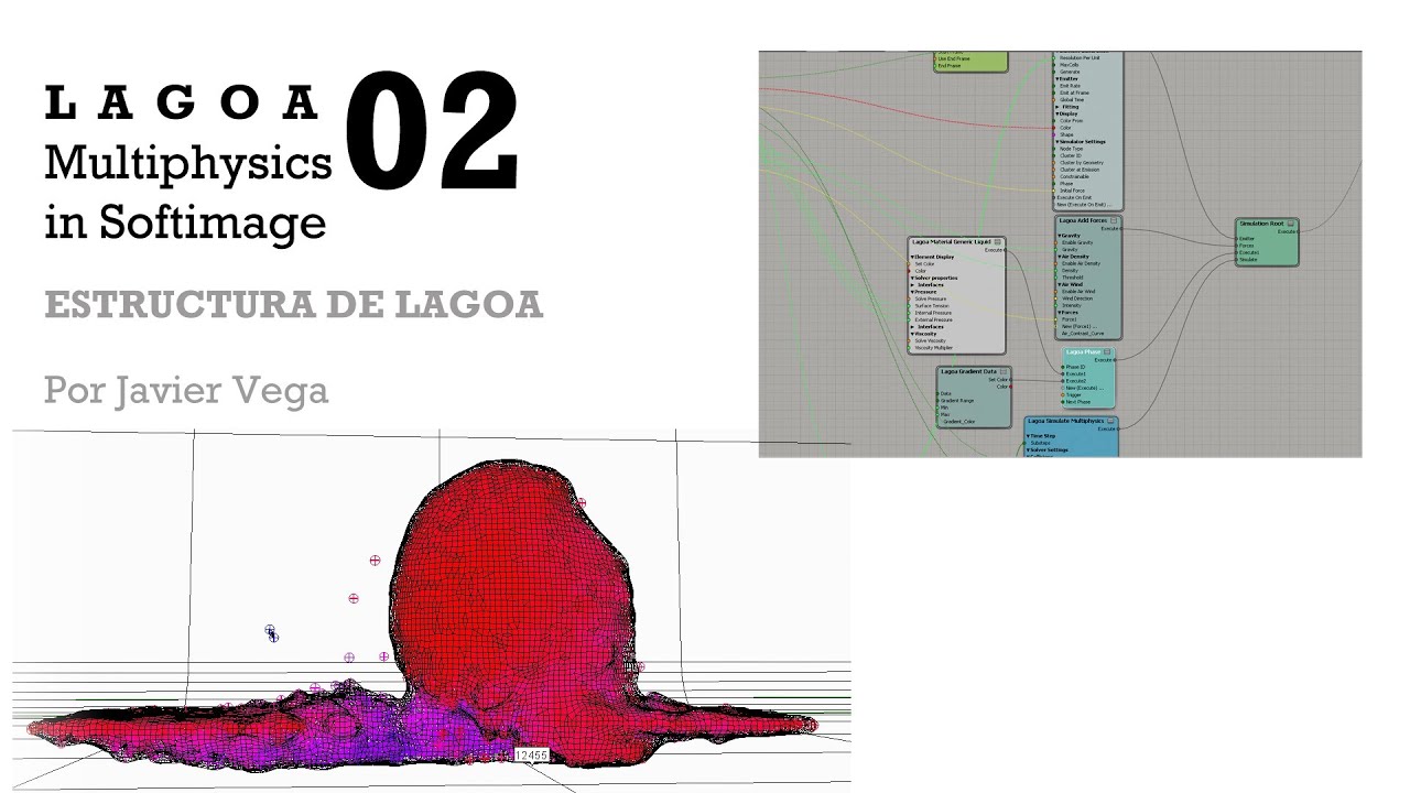 Estructura de Lagoa Multiphysics