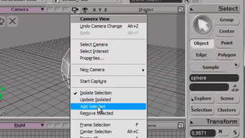 Los visores en Softimage