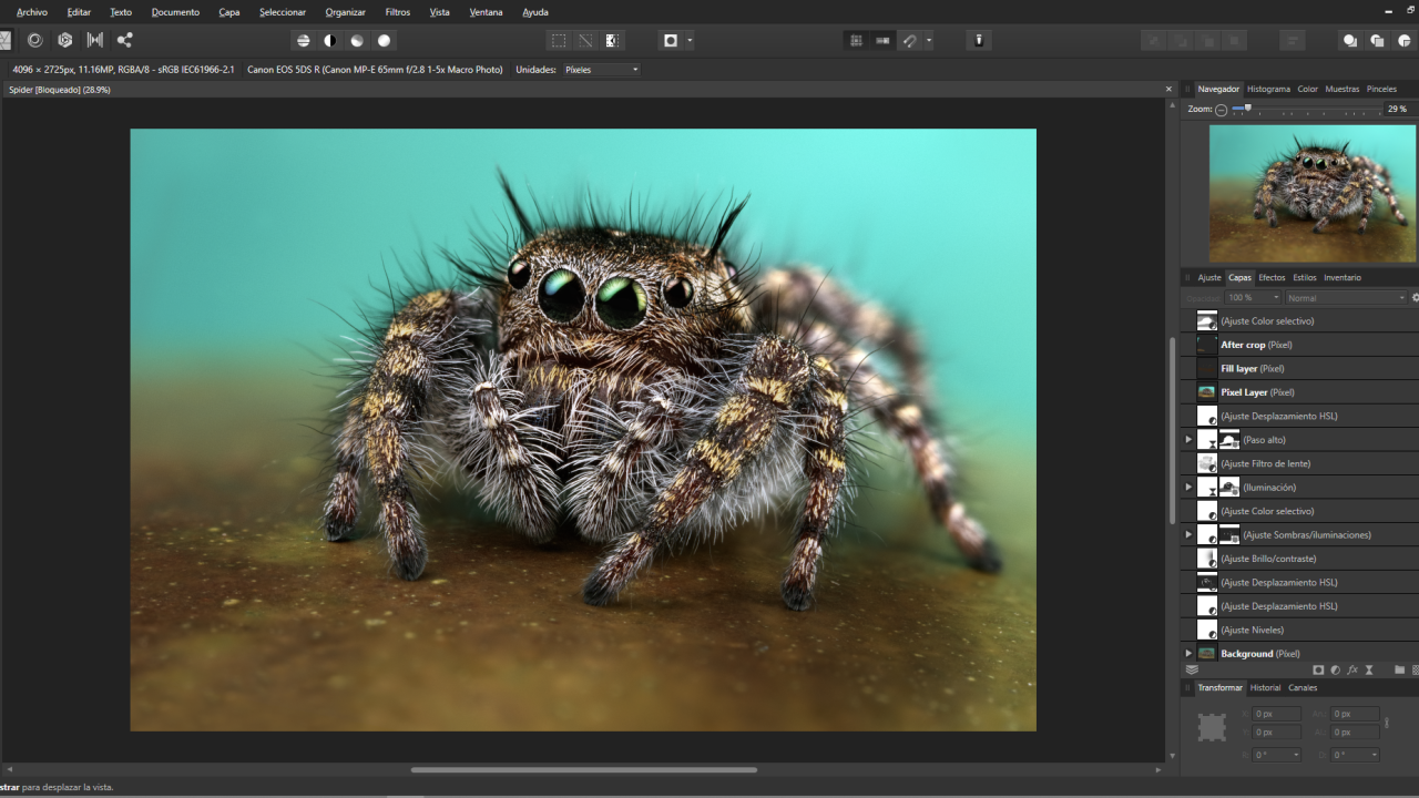 affinity photo