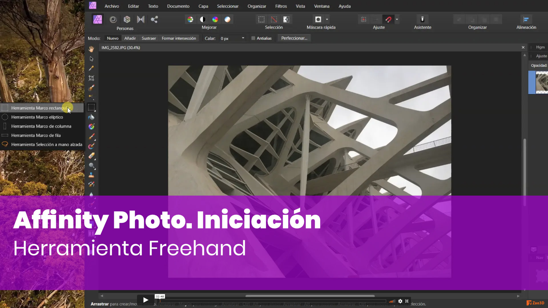 Usando la herramienta de selección Freehand o A Mano Alzada