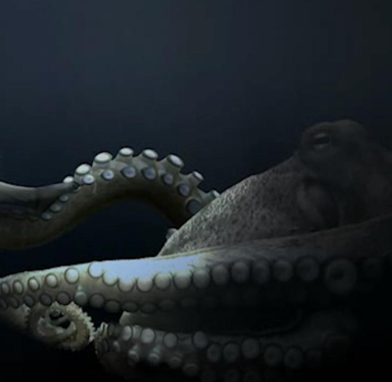 The Octopus and the Geisha, de Edward Dawson-Taylor 2 The Octopus and The Geisha de Edward Dawson Taylor3